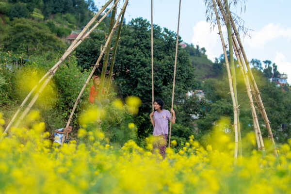 Dashain Festival 2025