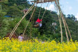 Dashain Festival 2025