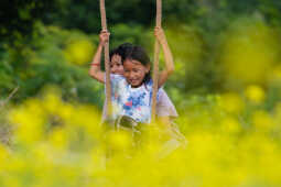 Dashain Festival 2025