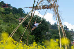Dashain Festival 2025