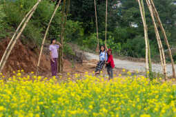 Dashain Festival 2025