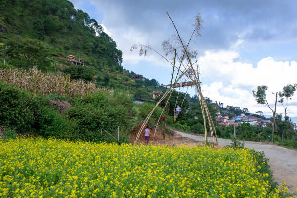 Dashain Festival 2025