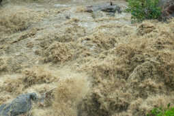 Flood Kathmandu
