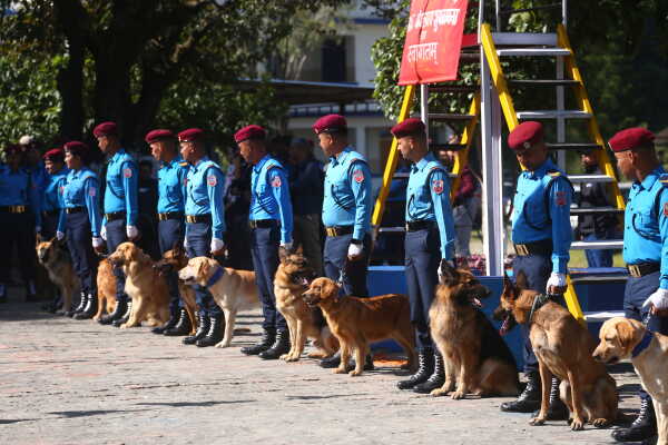 Nepal Police Dogs Honored During Kukur Tihar in Kathmandu