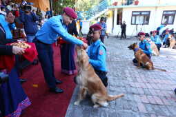 Nepal Police Dogs Honored During Kukur Tihar in Kathmandu