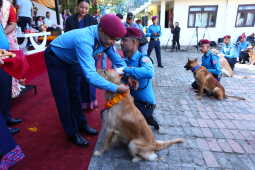Nepal Police Dogs Honored During Kukur Tihar in Kathmandu