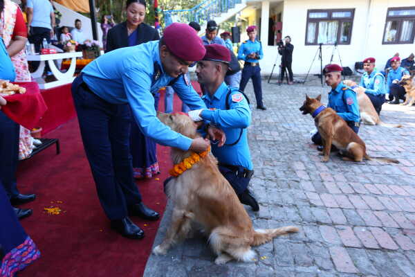 Nepal Police Dogs Honored During Kukur Tihar in Kathmandu