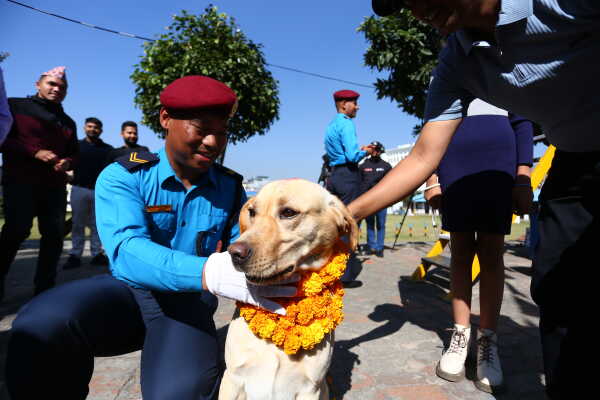Nepal Police Dogs Honored During Kukur Tihar in Kathmandu