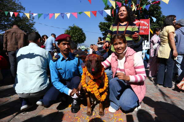 Nepal Police Dogs Honored During Kukur Tihar in Kathmandu