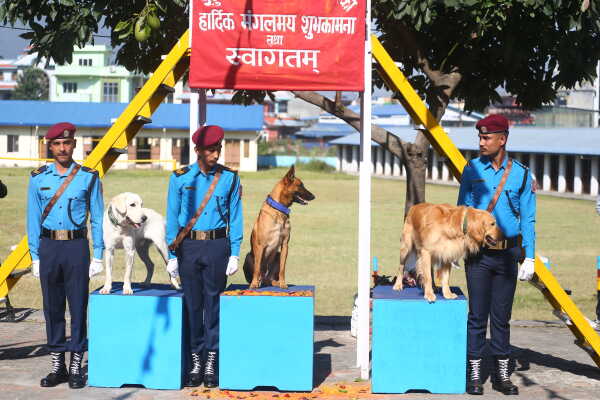 Nepal Police Dogs Honored During Kukur Tihar in Kathmandu