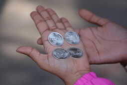 Nepal Rastra Bank Begins Sale of Silver Coins Ahead of Tihar