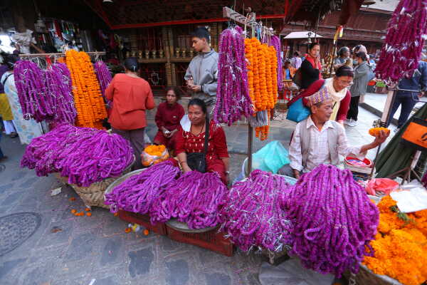 Tihar Festival Spirit Lights Up Kathmandu’s Traditional Markets