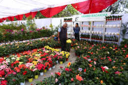 Tihar Flora Expo Begins at Bhrikutimandap, Kathmandu