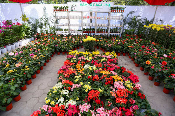 Tihar Flora Expo Begins at Bhrikutimandap, Kathmandu