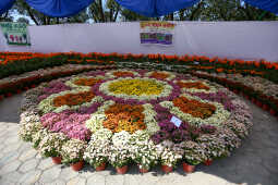 Tihar Flora Expo Begins at Bhrikutimandap, Kathmandu