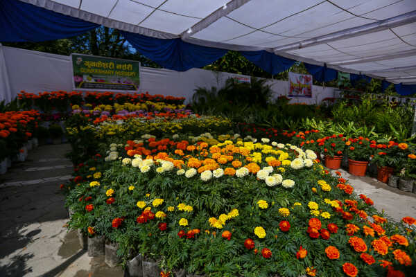 Tihar Flora Expo Begins at Bhrikutimandap, Kathmandu