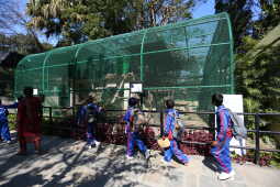 Black Panther Rescued from Ilam Now on Display at Jawalakhel Central Zoo