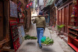 Bkt_2k24_Dec (1 of 1)-4