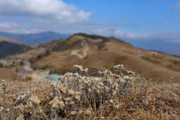 Chakhewa Danda of Temke Gateway to the Mundhum Trail and a Scenic Himalayan Viewpoint