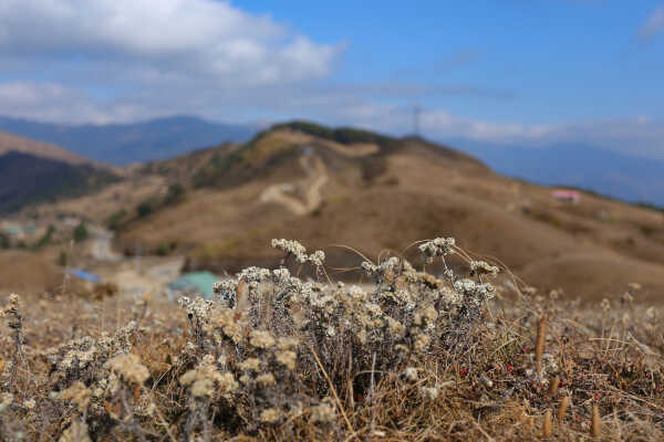 Chakhewa Danda of Temke Gateway to the Mundhum Trail and a Scenic Himalayan Viewpoint
