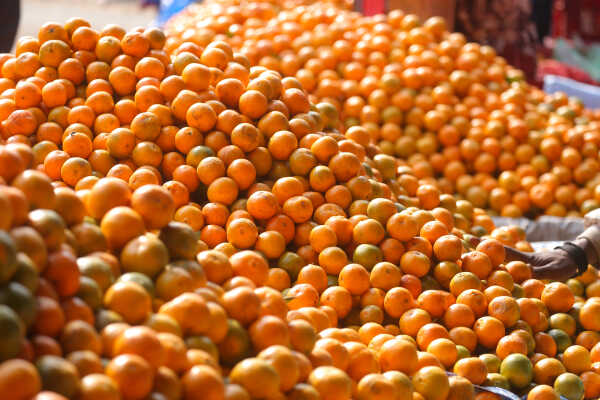 Growing Demand for Oranges Seen at Kalimati Fruits and Vegetable Market in Kathmandu