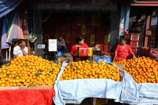 Growing Demand for Oranges Seen at Kalimati Fruits and Vegetable Market in Kathmandu
