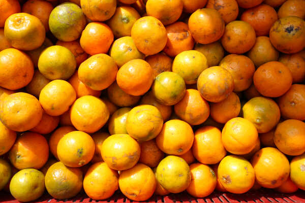 Growing Demand for Oranges Seen at Kalimati Fruits and Vegetable Market in Kathmandu