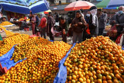 Growing Demand for Oranges Seen at Kalimati Fruits and Vegetable Market in Kathmandu
