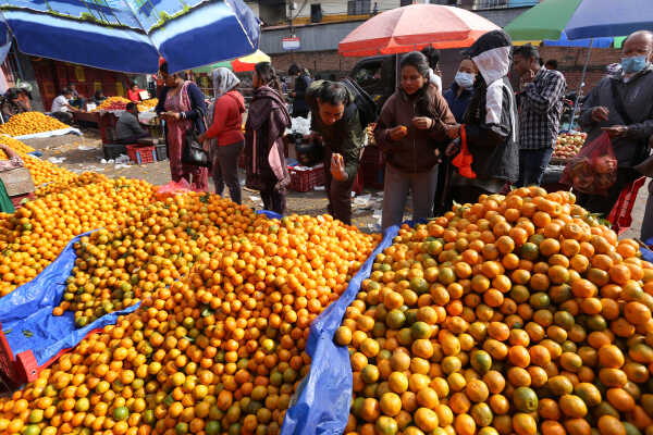 Growing Demand for Oranges Seen at Kalimati Fruits and Vegetable Market in Kathmandu