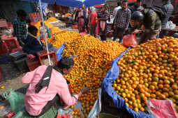 Growing Demand for Oranges Seen at Kalimati Fruits and Vegetable Market in Kathmandu
