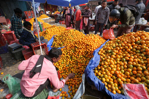 Growing Demand for Oranges Seen at Kalimati Fruits and Vegetable Market in Kathmandu