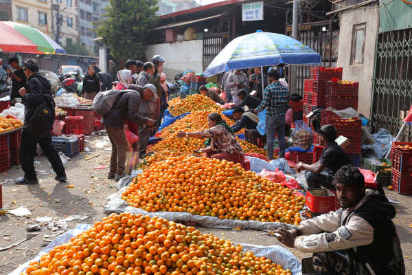 Growing Demand for Oranges Seen at Kalimati Fruits and Vegetable Market in Kathmandu