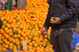 Growing Demand for Oranges Seen at Kalimati Fruits and Vegetable Market in Kathmandu
