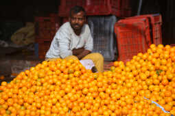 Growing Demand for Oranges Seen at Kalimati Fruits and Vegetable Market in Kathmandu
