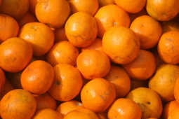 Growing Demand for Oranges Seen at Kalimati Fruits and Vegetable Market in Kathmandu