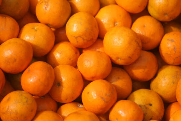Growing Demand for Oranges Seen at Kalimati Fruits and Vegetable Market in Kathmandu