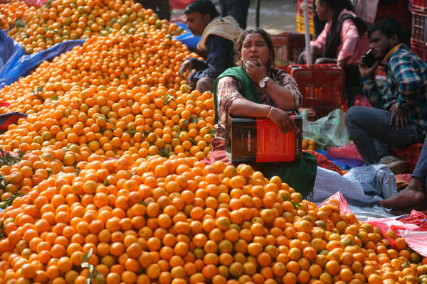 Growing Demand for Oranges Seen at Kalimati Fruits and Vegetable Market in Kathmandu