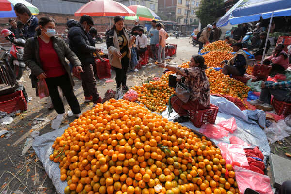 Growing Demand for Oranges Seen at Kalimati Fruits and Vegetable Market in Kathmandu