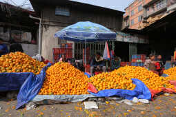 Growing Demand for Oranges Seen at Kalimati Fruits and Vegetable Market in Kathmandu