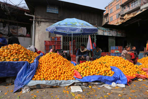 Growing Demand for Oranges Seen at Kalimati Fruits and Vegetable Market in Kathmandu