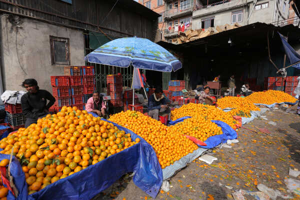 Growing Demand for Oranges Seen at Kalimati Fruits and Vegetable Market in Kathmandu