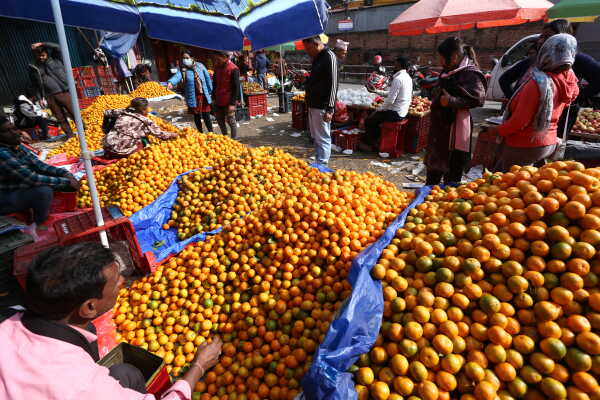 Growing Demand for Oranges Seen at Kalimati Fruits and Vegetable Market in Kathmandu