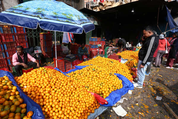 Growing Demand for Oranges Seen at Kalimati Fruits and Vegetable Market in Kathmandu
