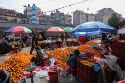 Growing Demand for Oranges Seen at Kalimati Fruits and Vegetable Market in Kathmandu