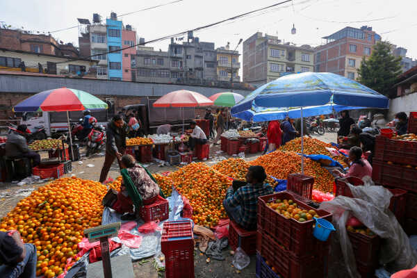 Growing Demand for Oranges Seen at Kalimati Fruits and Vegetable Market in Kathmandu