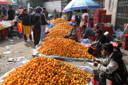 Growing Demand for Oranges Seen at Kalimati Fruits and Vegetable Market in Kathmandu