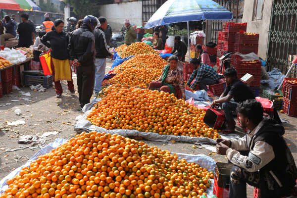 Growing Demand for Oranges Seen at Kalimati Fruits and Vegetable Market in Kathmandu