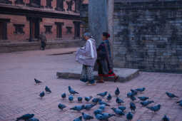 Street_2k25 (1 of 1)-2