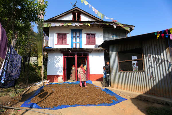 Locals in Bhojpur Dry Millet in Home Yards