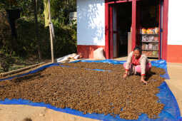 Locals in Bhojpur Dry Millet in Home Yards